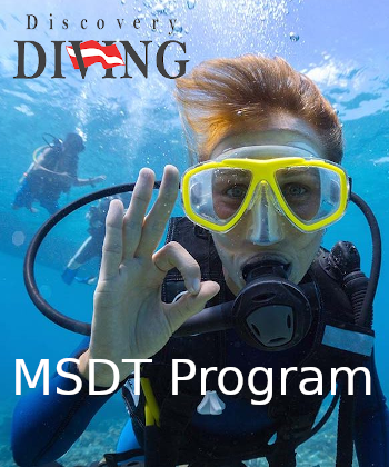 MSDT Program