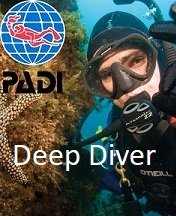 Discovery Diving Education | Deep Diver